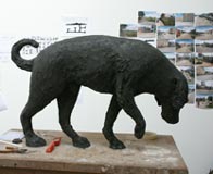 Dixon Bank - Dog in Studio