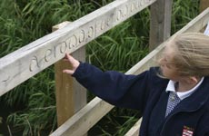 Child looking at the carved handrails on the bridge