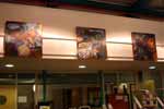 Tees Valley Arts Projects