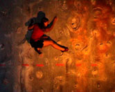 Elevation