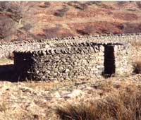 Sheepfolds