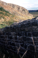 Housesteads
