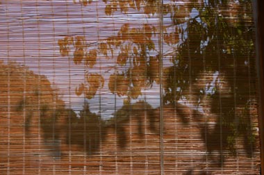 Renga at Kirkandrews