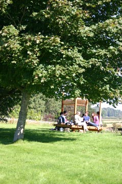 Renga at Kirkandrews