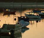 Scillies
